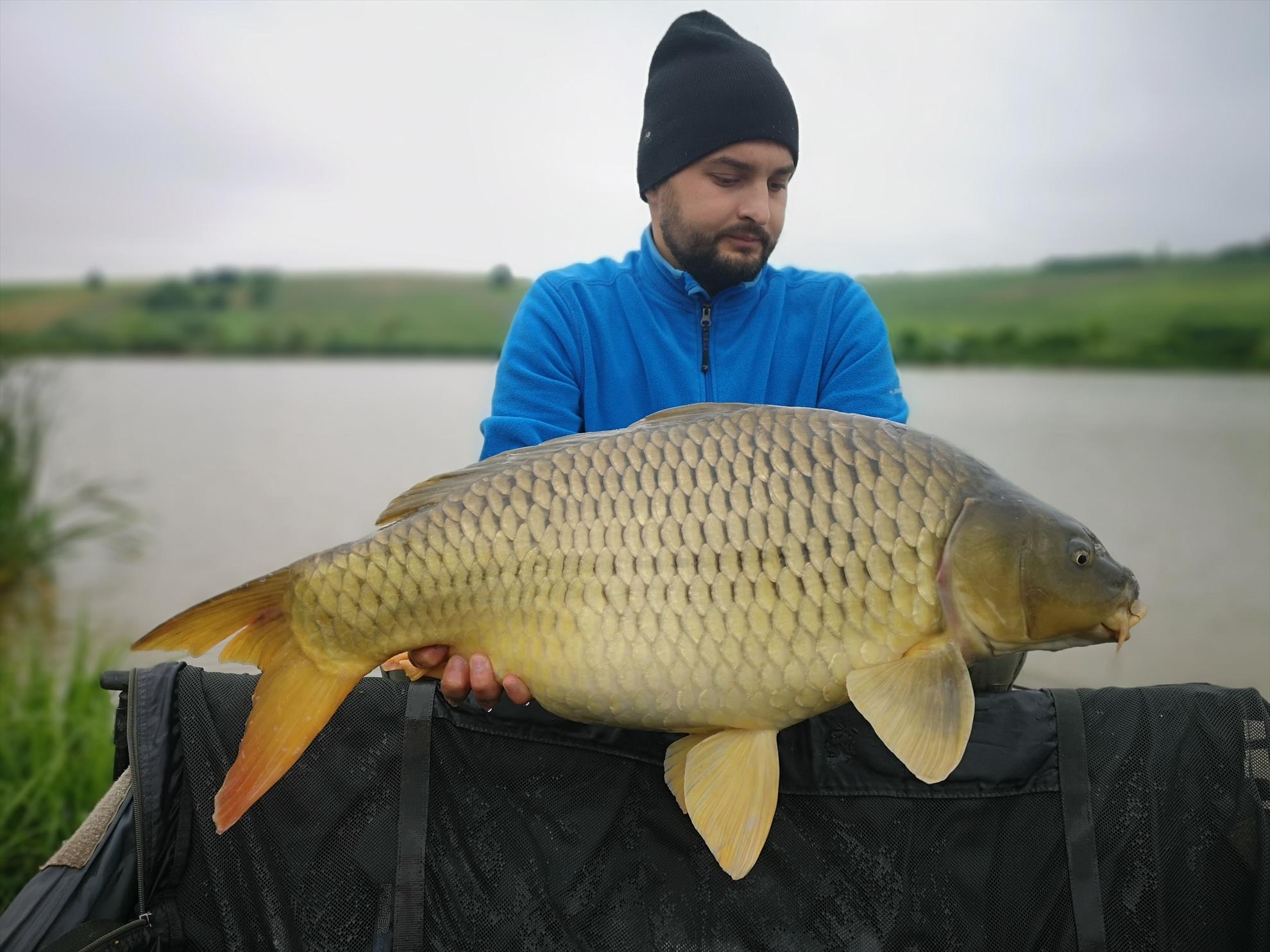 Păușești - img20190604074524.jpg